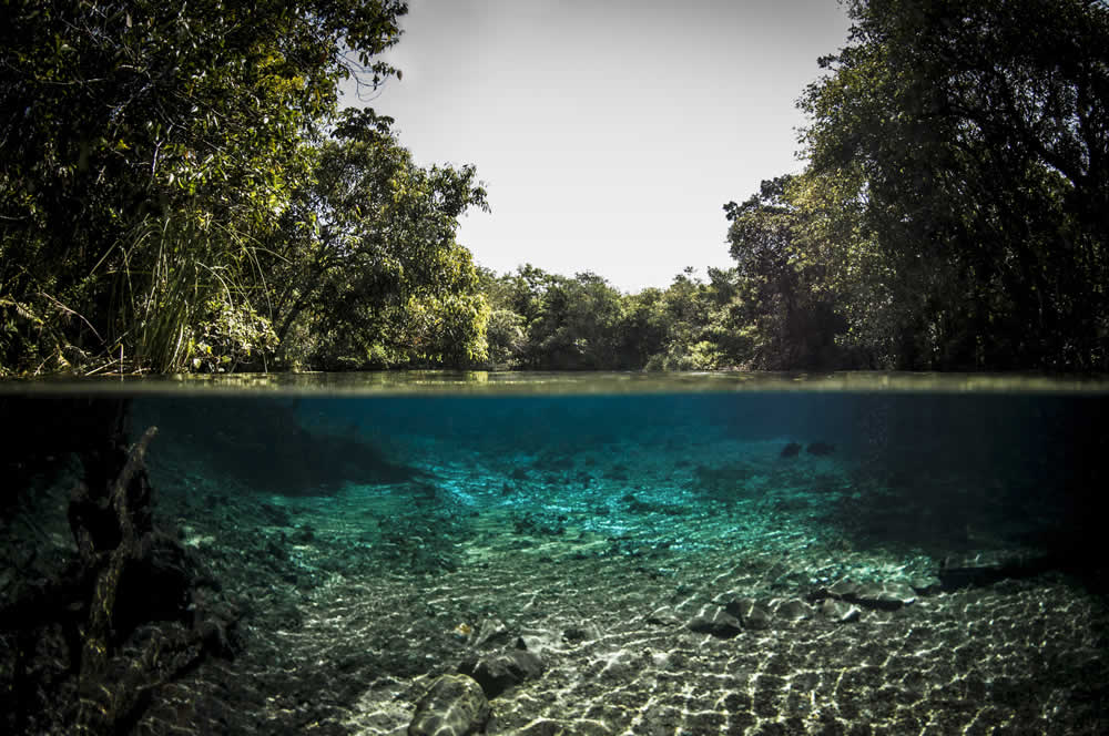 Aquário Natural em Bonito