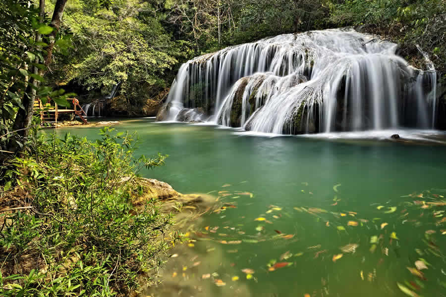 Estância Mimosa